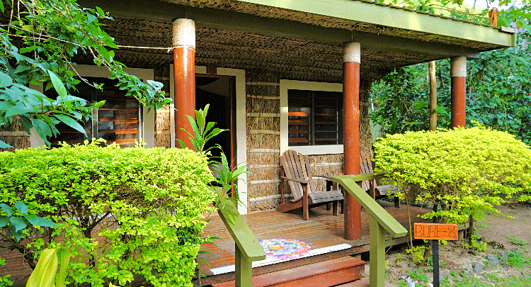 Premium Garden Bure — photo 2 of 5