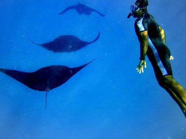 5 + Night Unlimited Dive Deal April 2026 thru March 2027 — photo 3 of 5