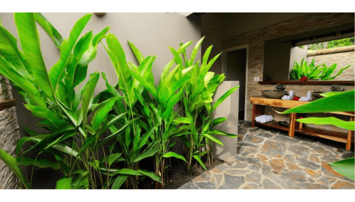 Cove Villa — photo 2 of 5